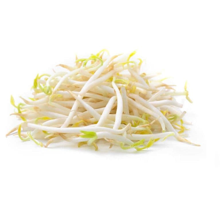 Diente de Dragón Envasado 250 g