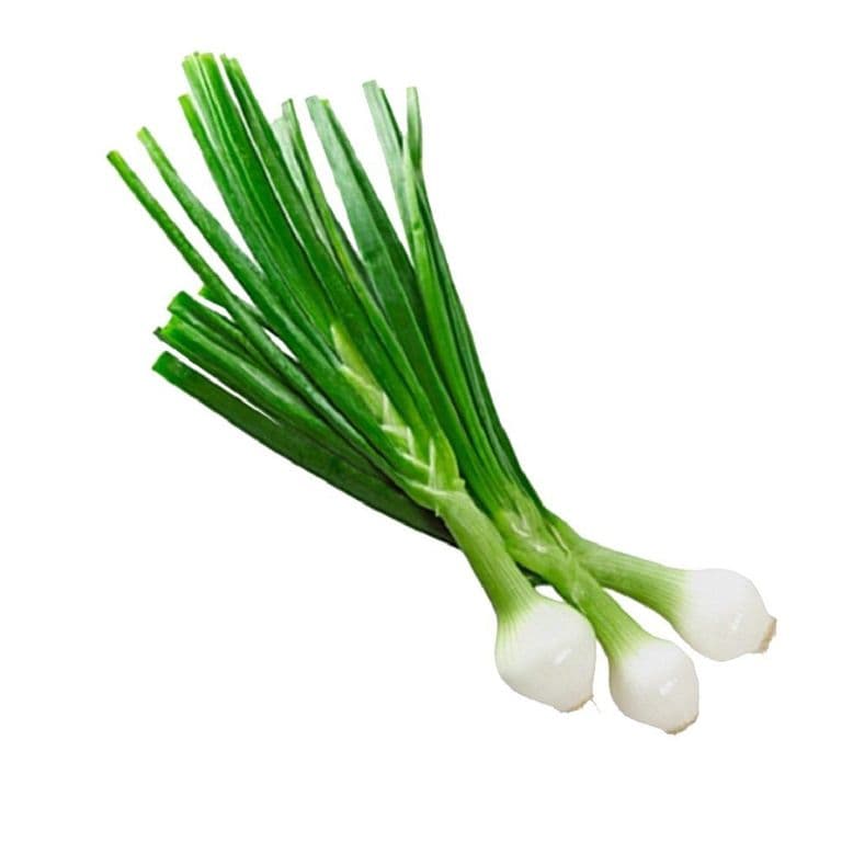 Cebollín Envasado 3 Un