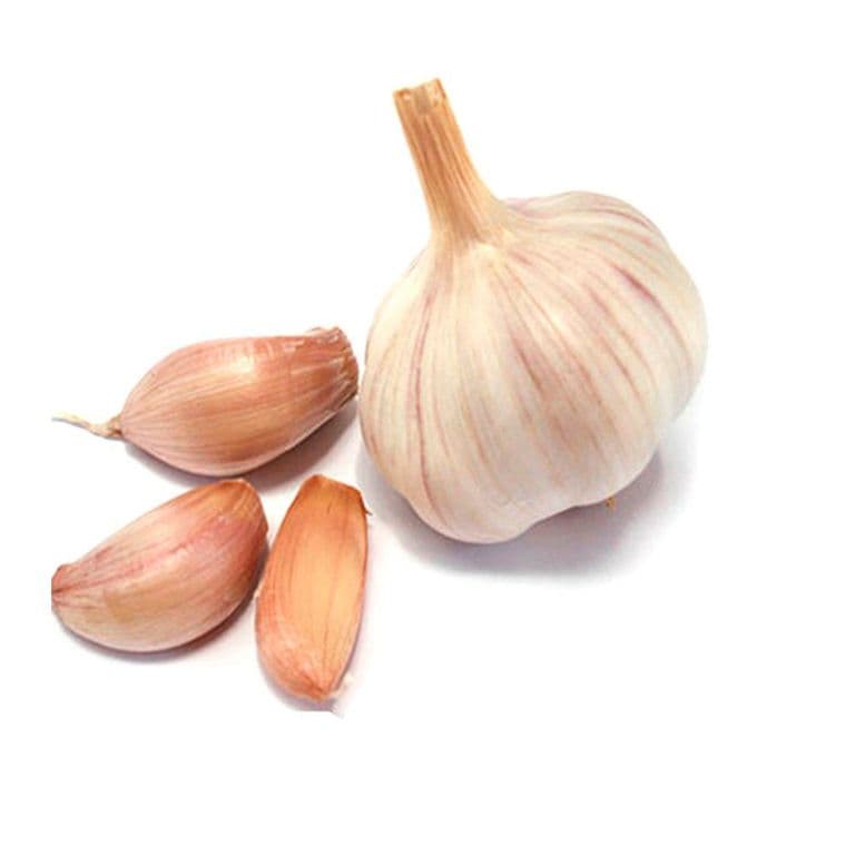 Ajo Chilote Grande en Malla 3 Un